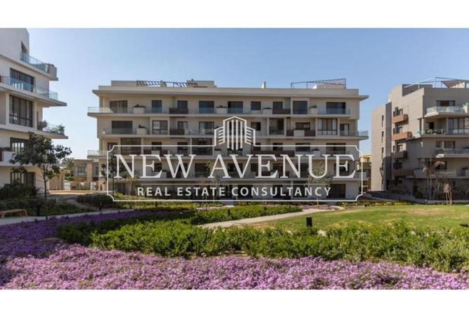 8250075 - Property Image 3