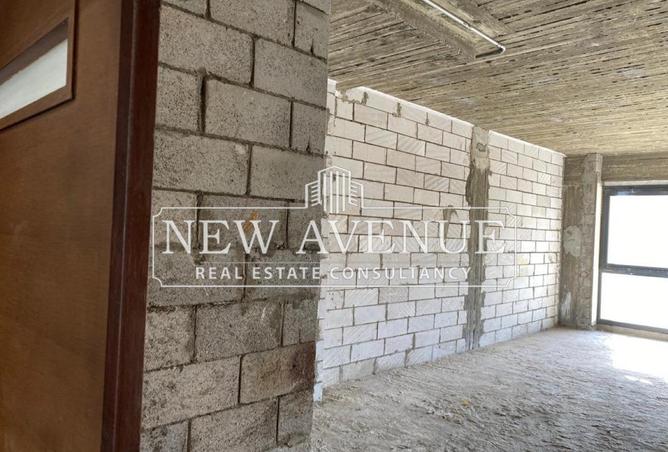 8557575 - Property Image 3