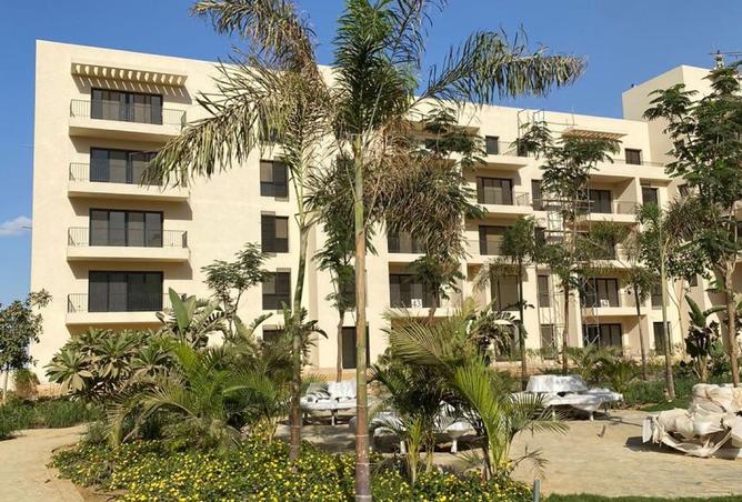 8248645 - صورة العقار 3