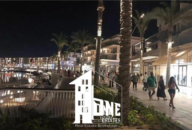 8447401 - صورة العقار 3