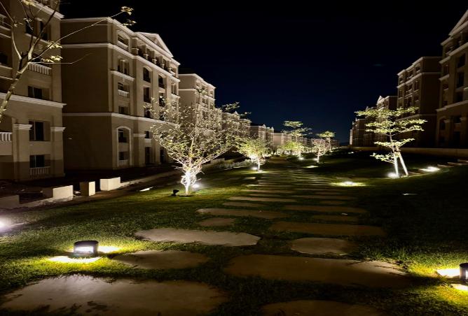 7971020 - صورة العقار 2