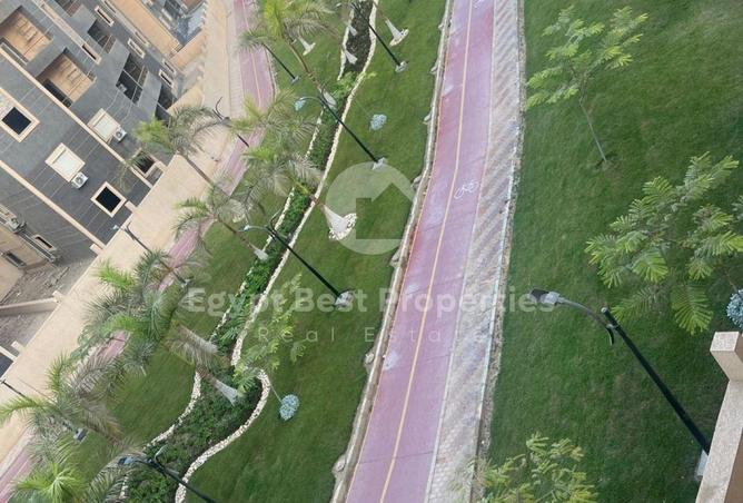 8295521 - صورة العقار 3