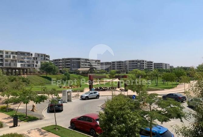 8315086 - Property Image 3