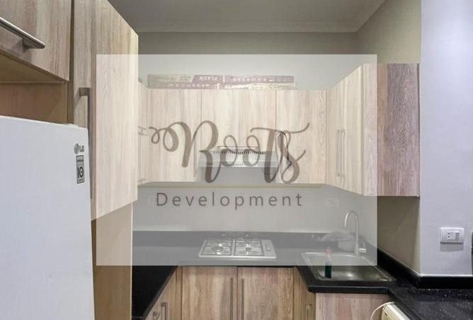 7817834 - Property Image 3