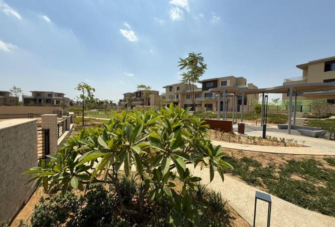 8162638 - صورة العقار 3