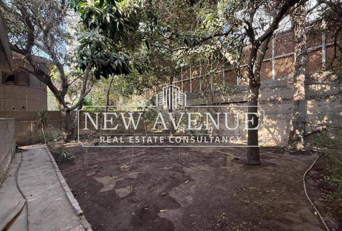 8423304 - Property Image 3