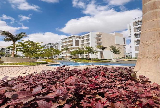 8496677 - صورة العقار 2