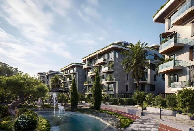 8244890 - Property Image 3