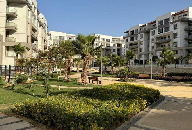 8245710 - صورة العقار 3