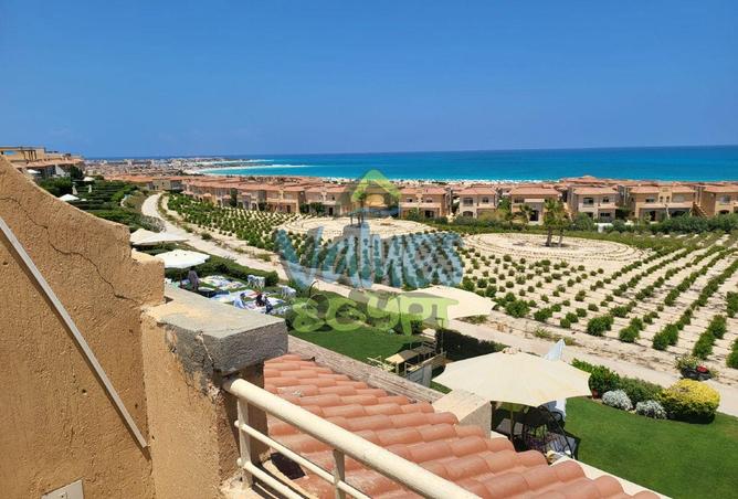 8287750 - Property Image 3