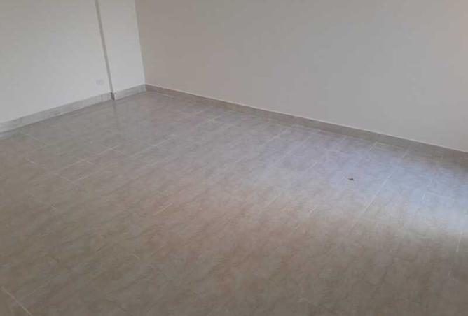 8011273 - Property Image 3