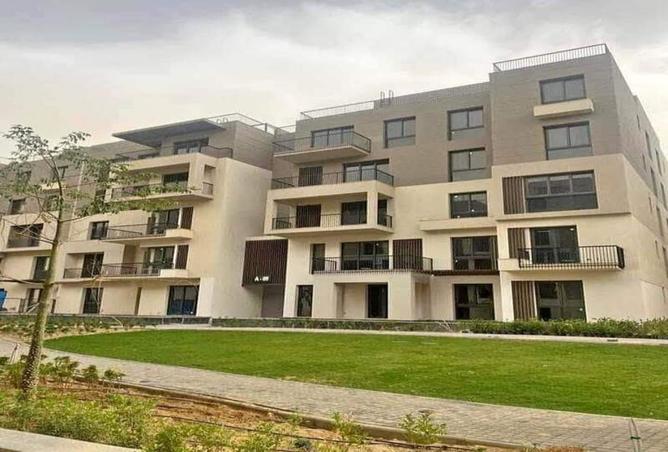 8237587 - Property Image 3