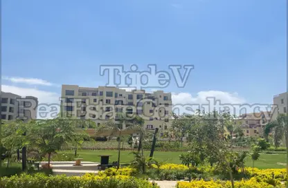 دوبلكس - 4 غرف نوم - 4 حمامات للايجار في أو ويست - كمبوندات 6 أكتوبر - مدينة 6 أكتوبر - الجيزة