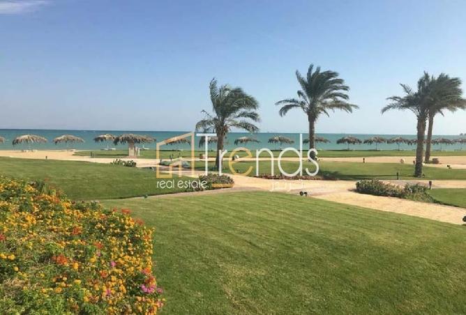 8010145 - صورة العقار 3