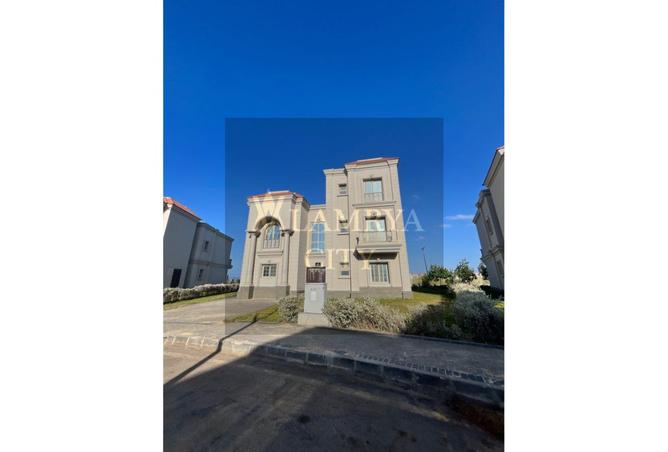 8110369 - Property Image 2