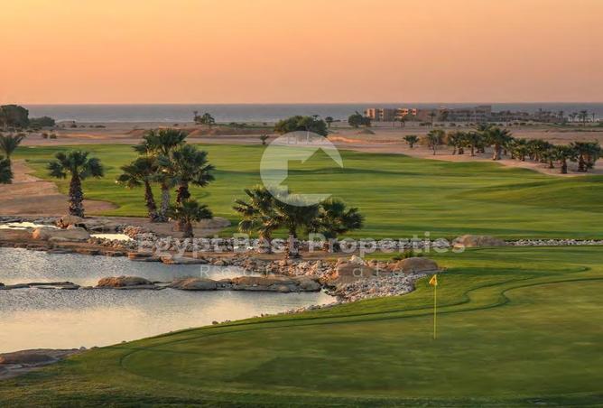 7975846 - Property Image 3