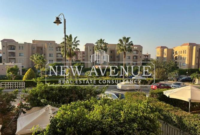 8143484 - Property Image 3