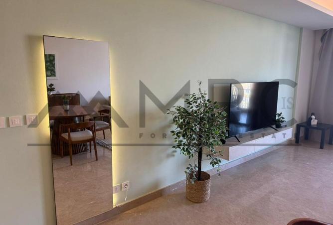 8120911 - Property Image 3