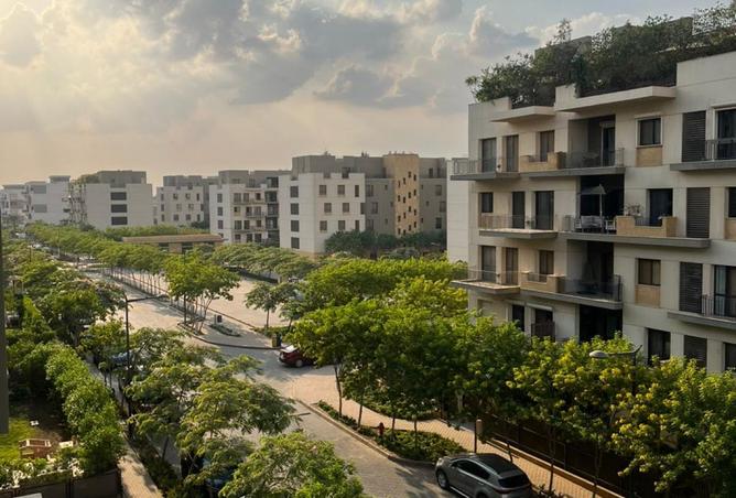 8351883 - Property Image 3