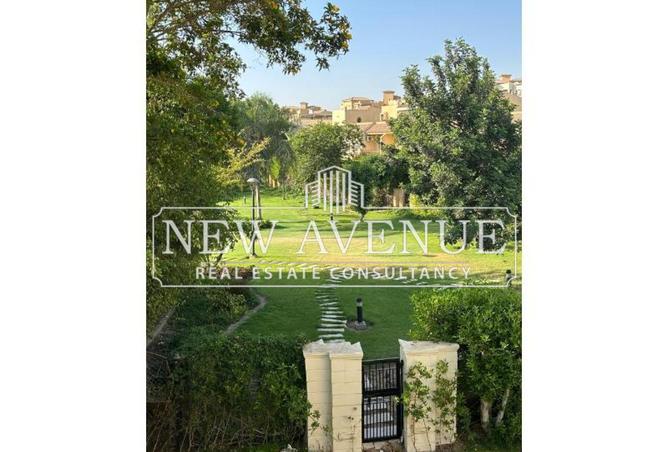 8300647 - صورة العقار 2