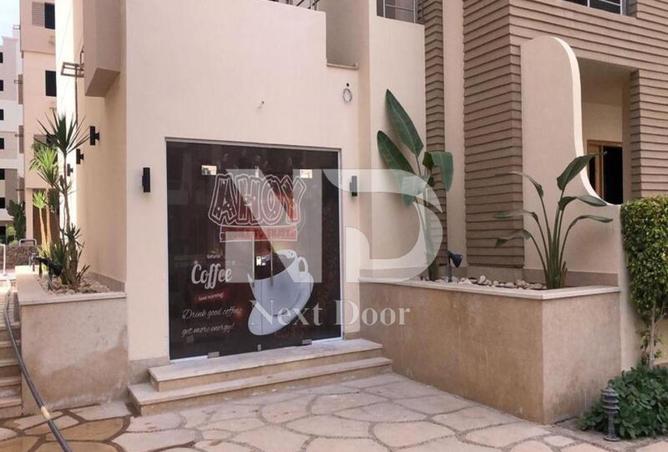 7747479 - Property Image 3