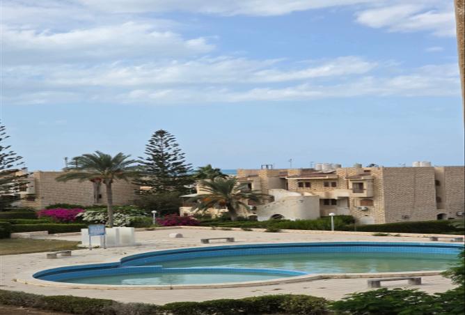 8241612 - Property Image 2