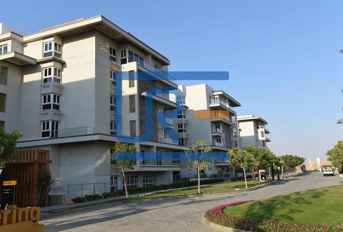 7872868 - Property Image 3