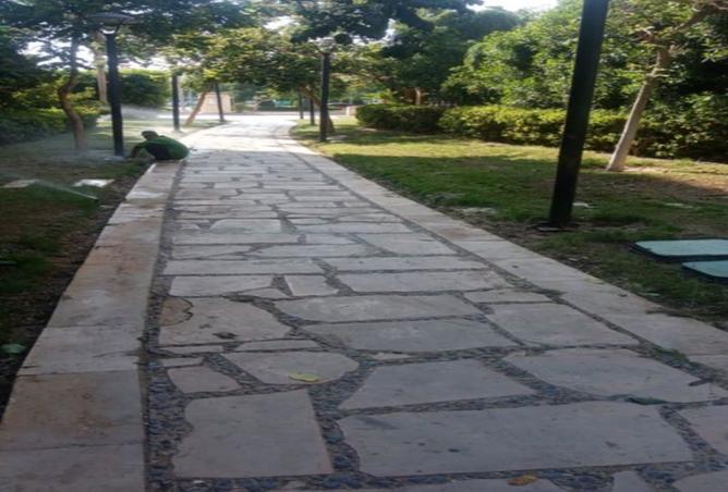 8117762 - Property Image 2