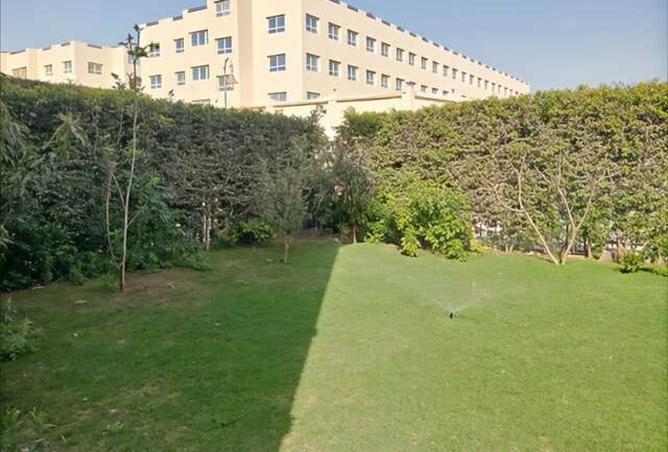 7899644 - صورة العقار 3