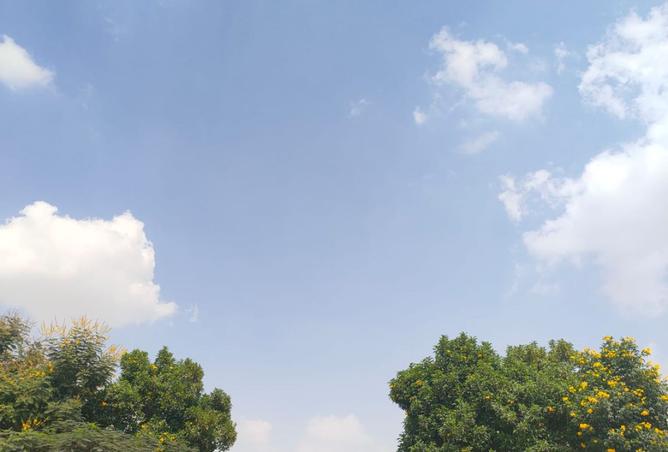 7932005 - صورة العقار 3