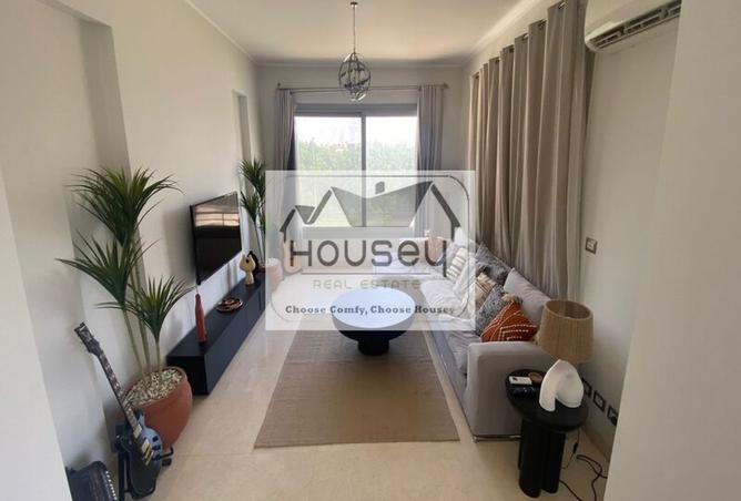 8008253 - Property Image 3