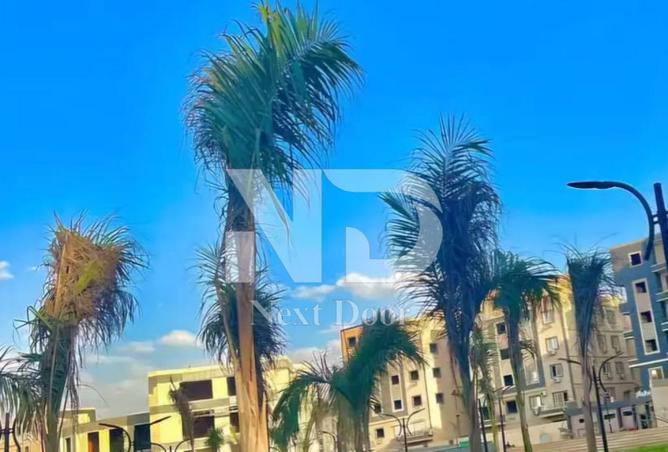 8490320 - Property Image 2