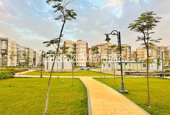 8505559 - Property Image 2