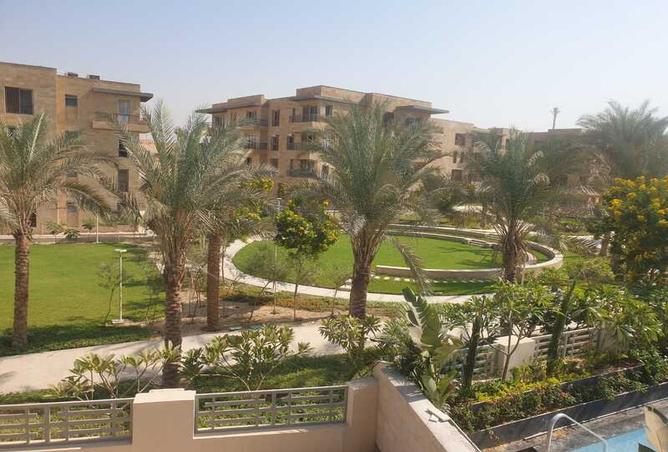 7986891 - Property Image 2