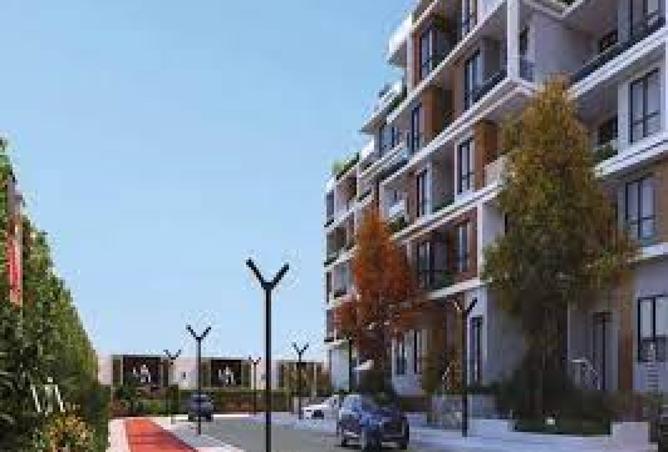 8362666 - Property Image 3