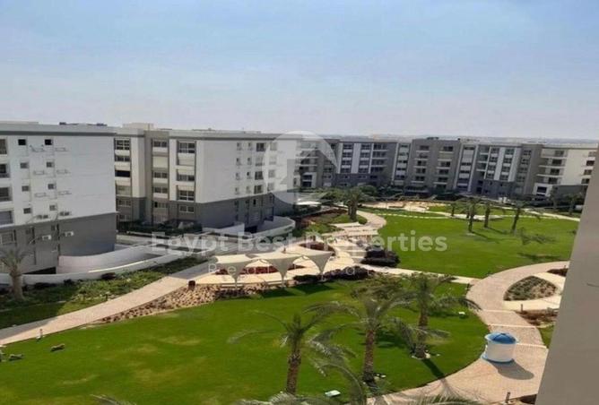 8075018 - Property Image 3