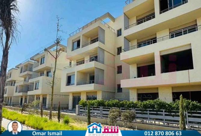 8146017 - Property Image 3
