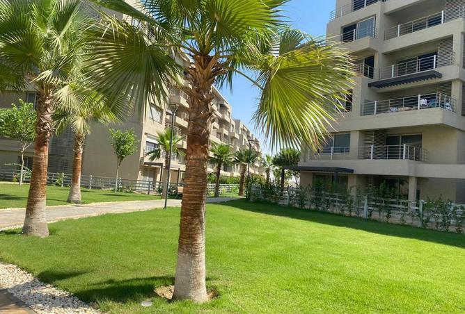 8062742 - Property Image 2