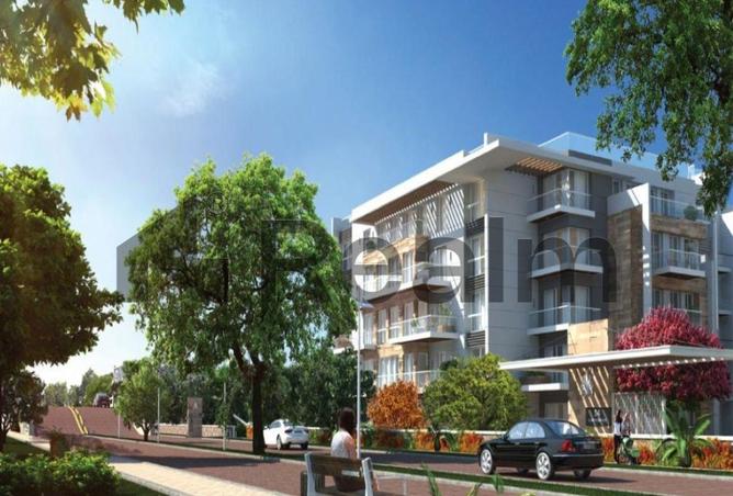8120736 - Property Image 2