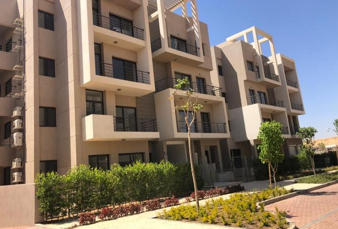 8238292 - Property Image 2