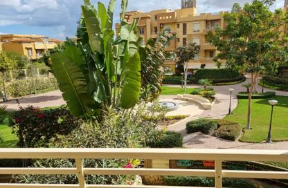 Apartment - 2 Bedrooms - 2 Bathrooms for rent in Jewar - 13th District - Sheikh Zayed City - Giza