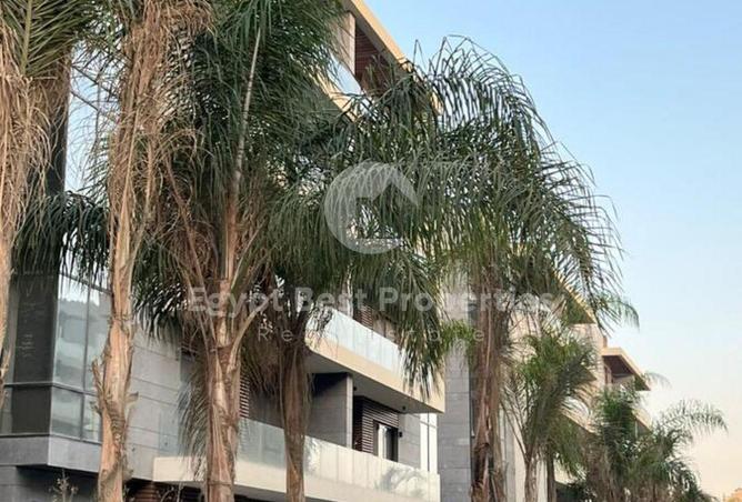 8560674 - صورة العقار 3