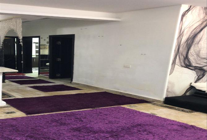 8008216 - Property Image 3