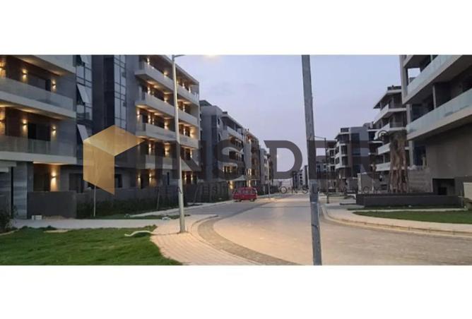 8238745 - Property Image 2