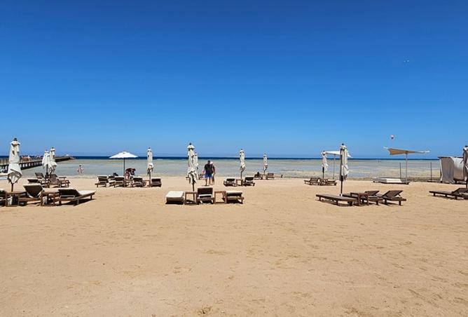 8420939 - Property Image 3