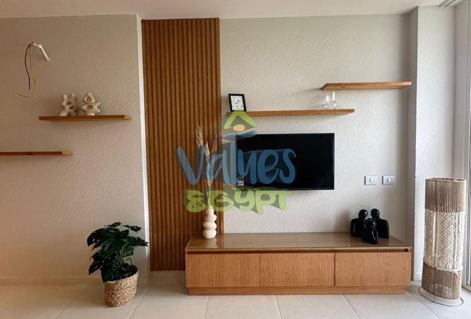 7906914 - Property Image 2