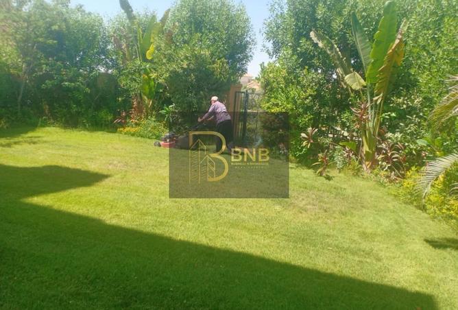 8263729 - صورة العقار 2