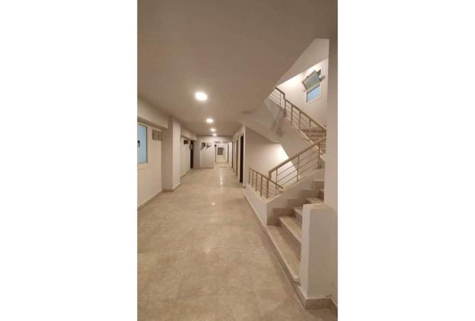 7926390 - Property Image 2