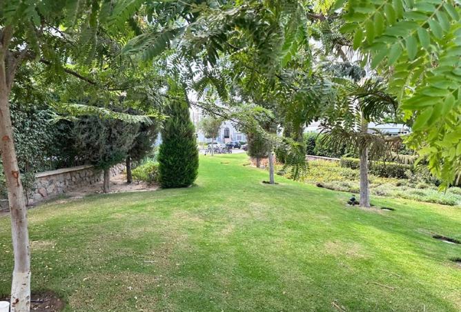 8174101 - صورة العقار 2