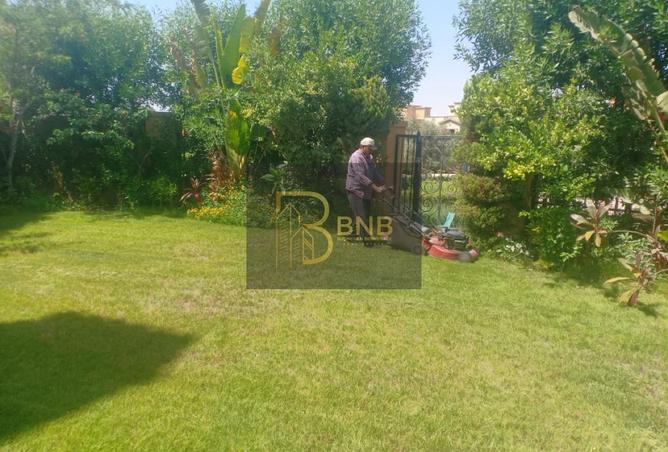 8263729 - صورة العقار 3